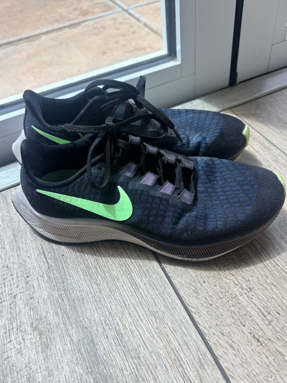 Nike Pegasus